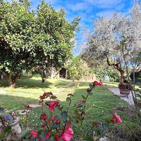 La Civetta, A 15 Minuti Dal Mare Di Otranto Holiday home *